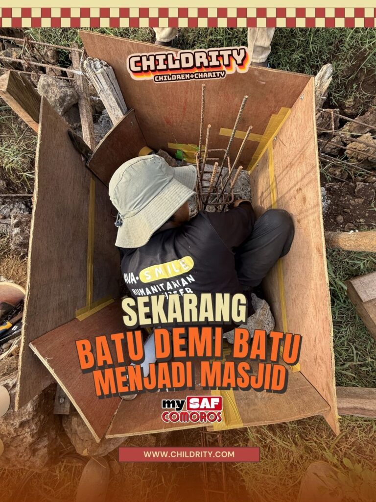 mySAF3